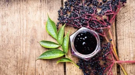 Where to buy elderberry capsules online