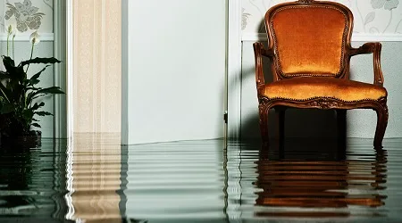 Flood insurance about to go completely digital