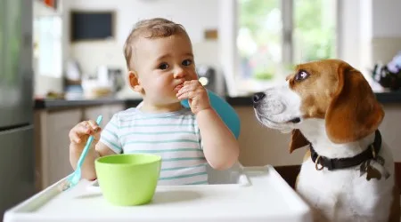 Where to buy baby food
