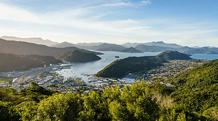 Best lines to cruise from Australia to New Zealand