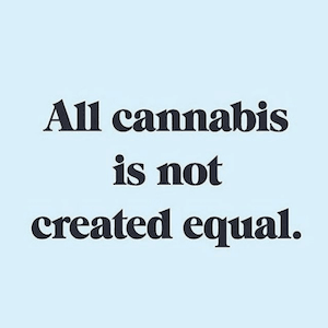 Image: Cannaclusive Cannaclusive, a Black-owned cannabis consultation service