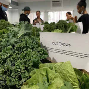 Image: Our Own Our Own, a nonprofit committed to bringing life-changing experiences to underserved communities