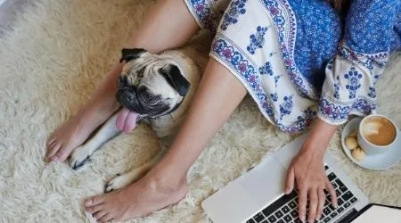 Where to buy nap dresses this summer