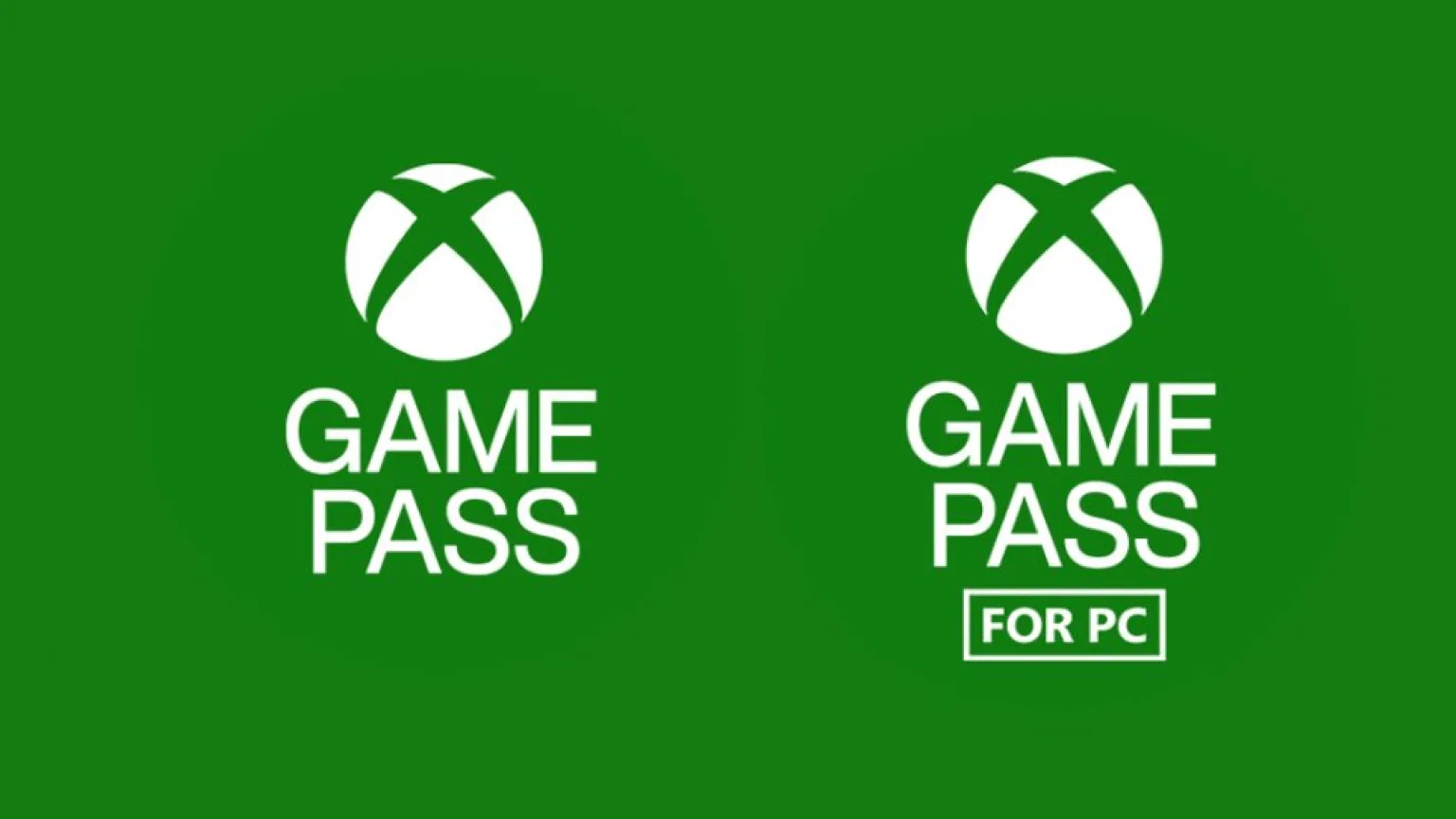 Image: Xbox/Supplied Picture not described