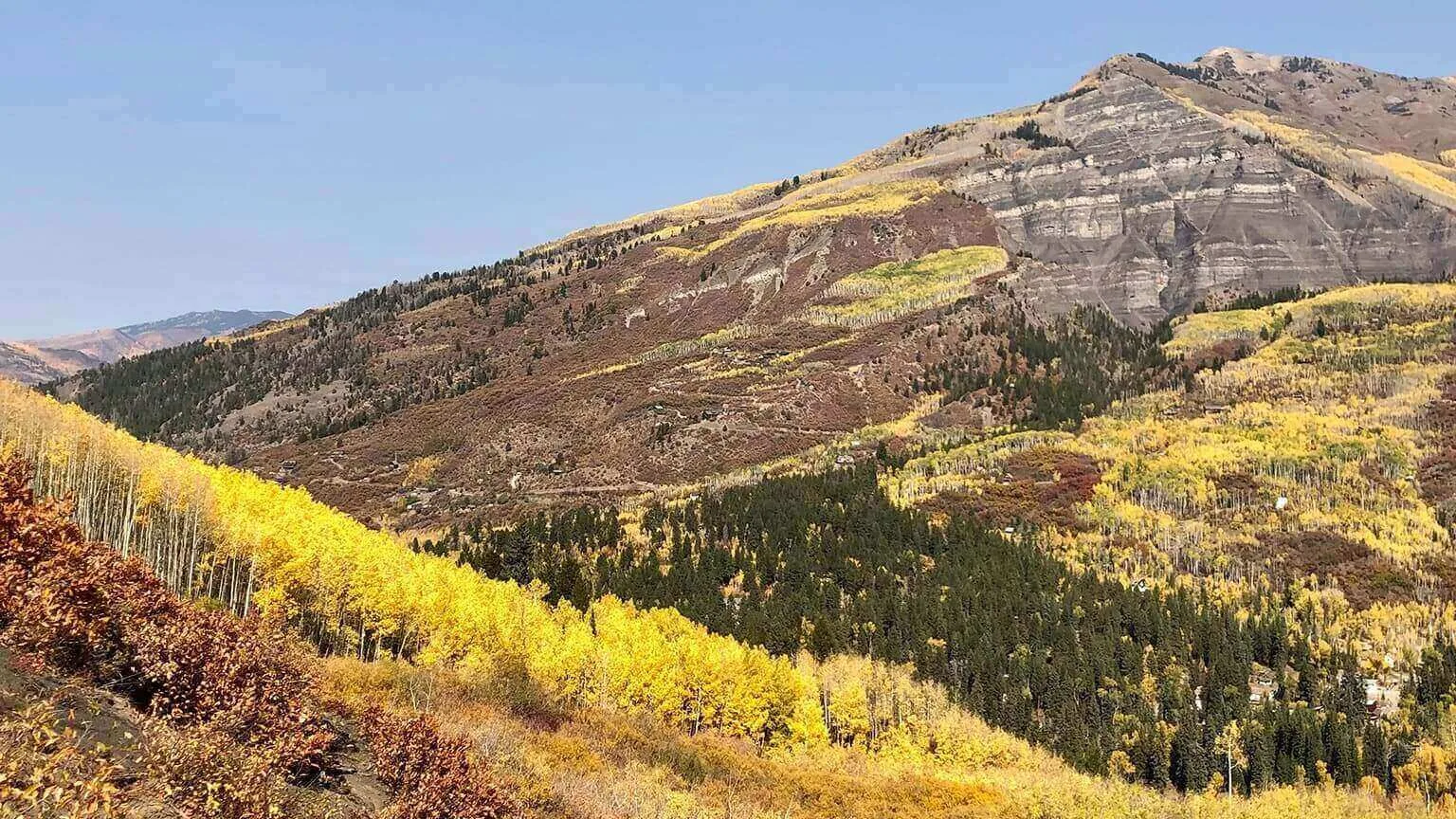 Image: Adrienne Fuller/Supplied High alpine leaf peeping of Aspen groves outside of Carbondale, Colorado