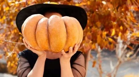Where to buy Halloween face coverings