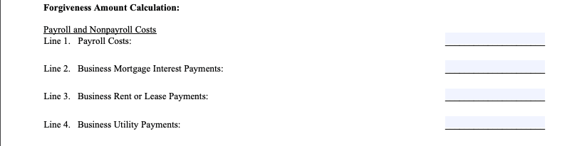 PPP forgiveness form step 4 and 5