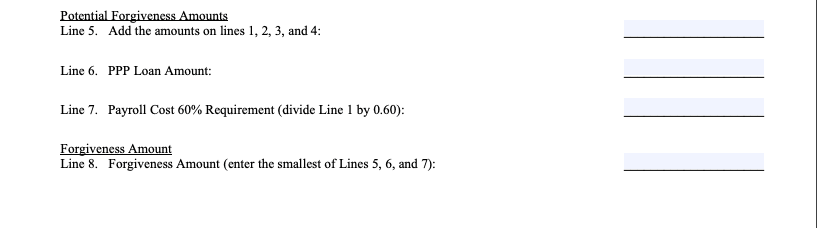 PPP forgiveness form step 6