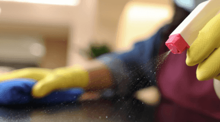Mold removal services
