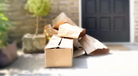 Porch pirates statistics