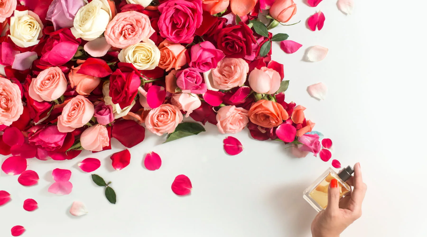 PerfumeWithRoseFlowers_GettyImages_1800x1000 PerfumeWithRoseFlowers_GettyImages_1800x1000