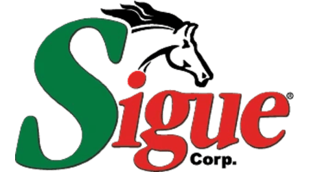 Sigue international money transfers review