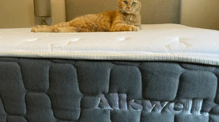 Allswell The Brick mattress review