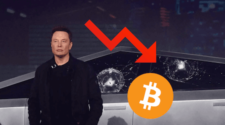 Elon Musk crashes Bitcoin price by canceling BTC payments for Teslas