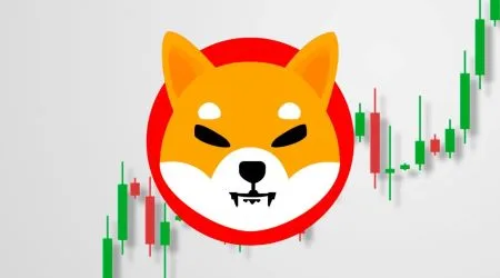 Shiba Inu price on the rise again – is Elon Musk to thank?