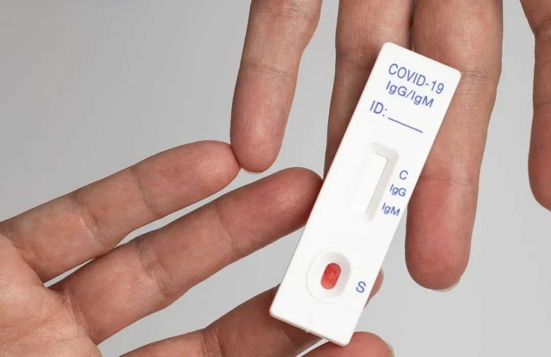 Where to buy rapid COVID tests online