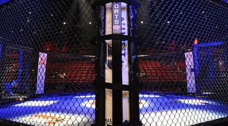 Cómo ver UFC en vivo por streaming en España