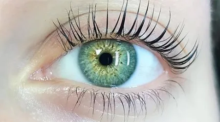 Everything you need to know about lash lifts
