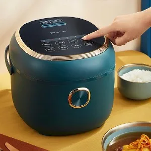 Image: aliexpress rice cooker