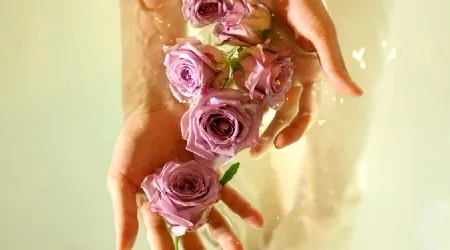 The top 8 sites to buy rose water online 2021