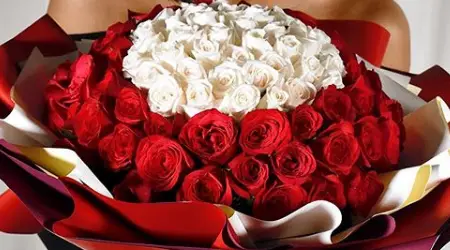 Flower Chimp coupon codes, discount codes and promos March 2020
