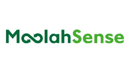 MoolahSense Business Loan Review