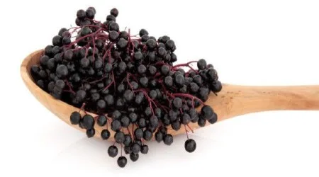 Where to buy elderberry capsules online in Singapore