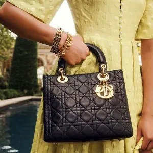 Image: shopbop handbag