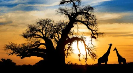 Envoyer de l’argent en Afrique du Sud