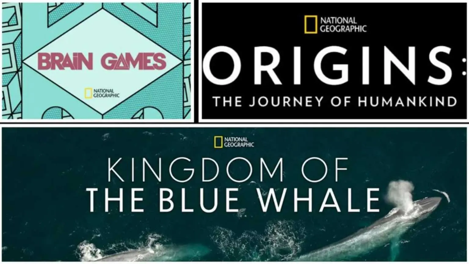 The 10 Best National Geographic Shows On Disney Finder