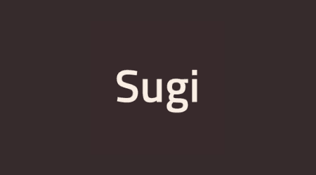 Sugi cryptocurrency card wallet – December 2022 review