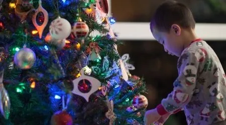 Where to buy a Christmas tree online in the Philippines