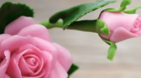 Mother’s Day gift ideas | 2020