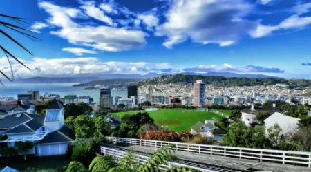 10 things to do in Wellington in 2021