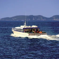 interislander ferry discount code