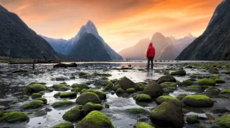 Kayak travel deals and promo codes October 2021