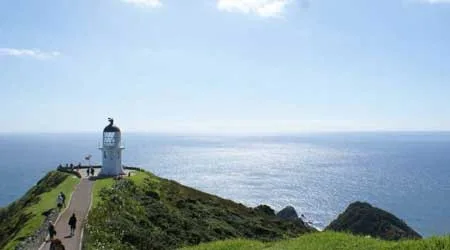 Compare Cape Reinga tours