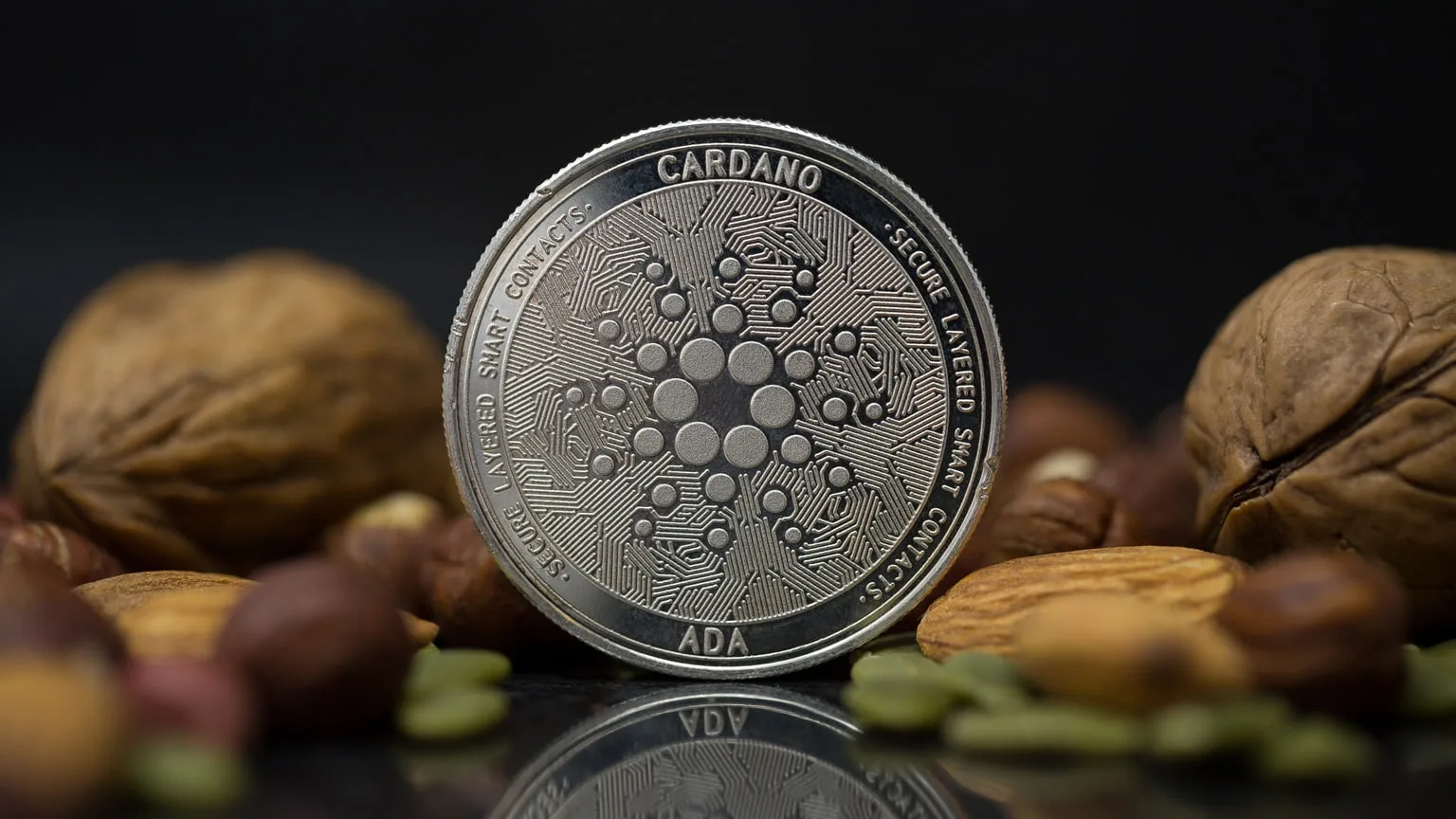Image: Shutterstock Cardano cryptocurrency physical coin