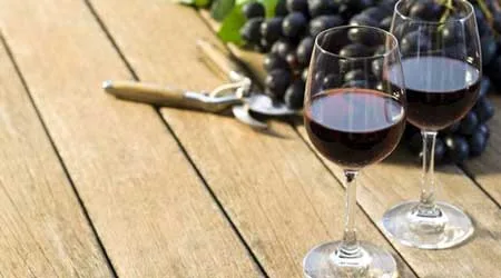 Compare Waiheke wine tours