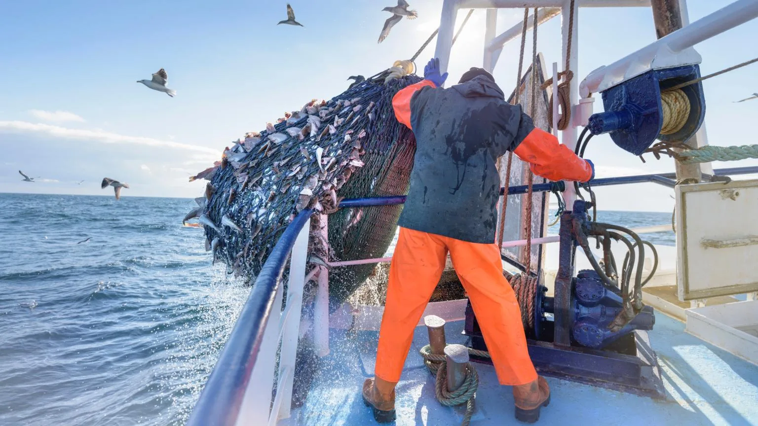 Image: Getty Images Commercial marine insurance