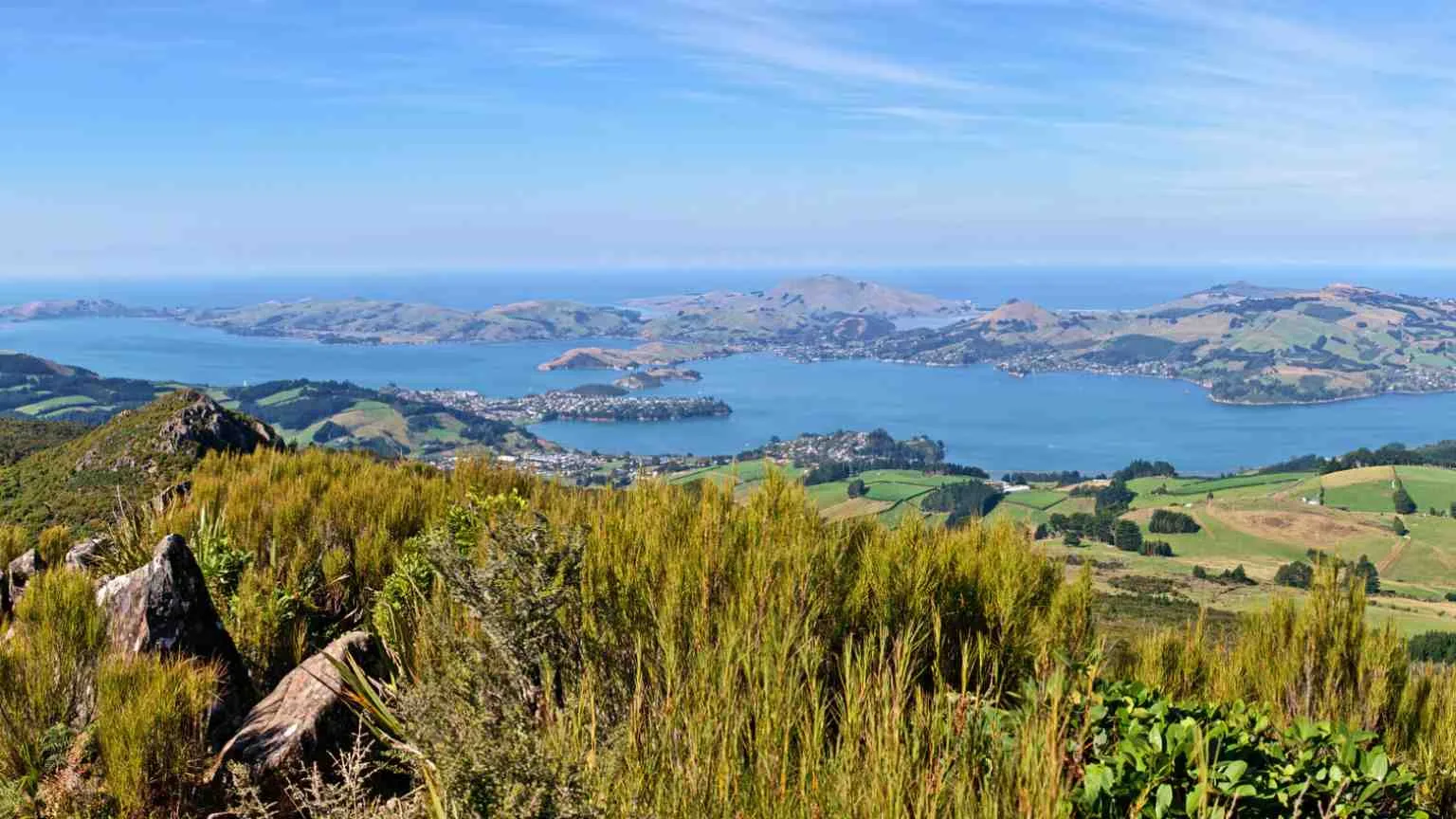 Cheap flights to Dunedin for 2020