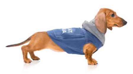 Where to buy dog winter coats online in New Zealand