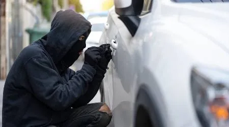 NZ car theft statistics 2022