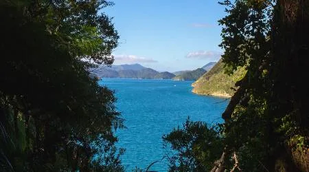 Picton accommodation | Where to book in the Marlborough Sounds