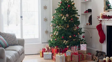 Where to buy a Christmas tree online in New Zealand
