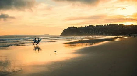 What’s open in Dunedin right now?