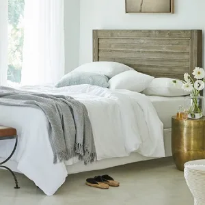 Picture not described