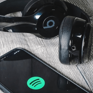 Picture not described