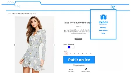 Beat impulse buying with Icebox chrome extension