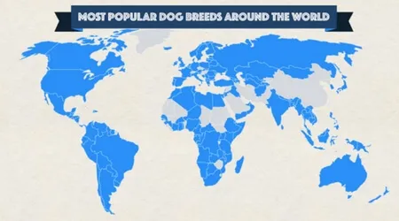 which country has the most dog breeds